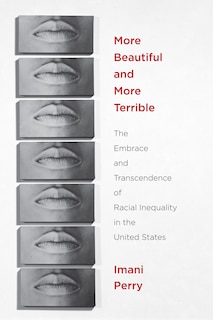 Couverture_More Beautiful And More Terrible