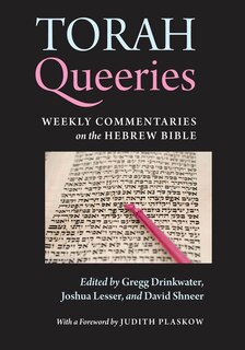 Couverture_Torah Queeries