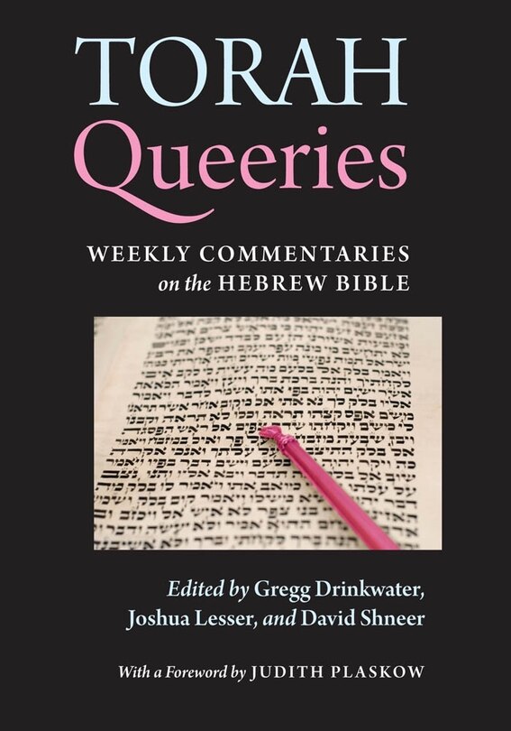 Couverture_Torah Queeries
