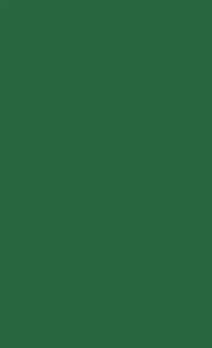 Couverture_Dynamics of Ethnic Identity