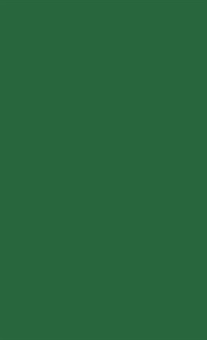 Couverture_Dynamics of Ethnic Identity