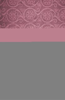 Front cover_Gender, Violence And Governmentality