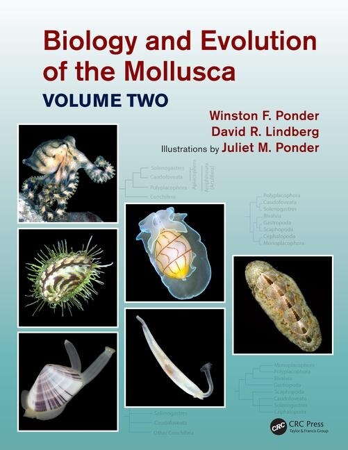 Front cover_Biology And Evolution Of The Mollusca, Volume 2