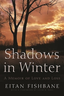 Couverture_Shadows in Winter