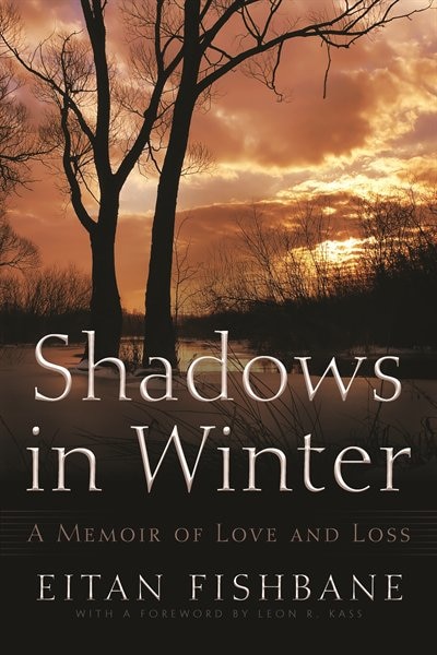 Couverture_Shadows in Winter