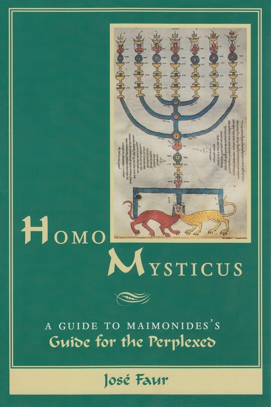 Front cover_Homo Mysticus