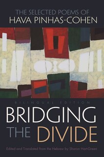Couverture_Bridging the Divide