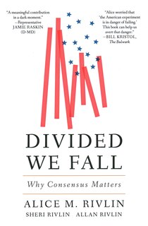 Front cover_Divided We Fall