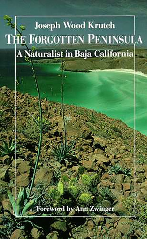 Couverture_The Forgotten Peninsula