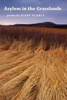 Front cover_Asylum In The Grasslands