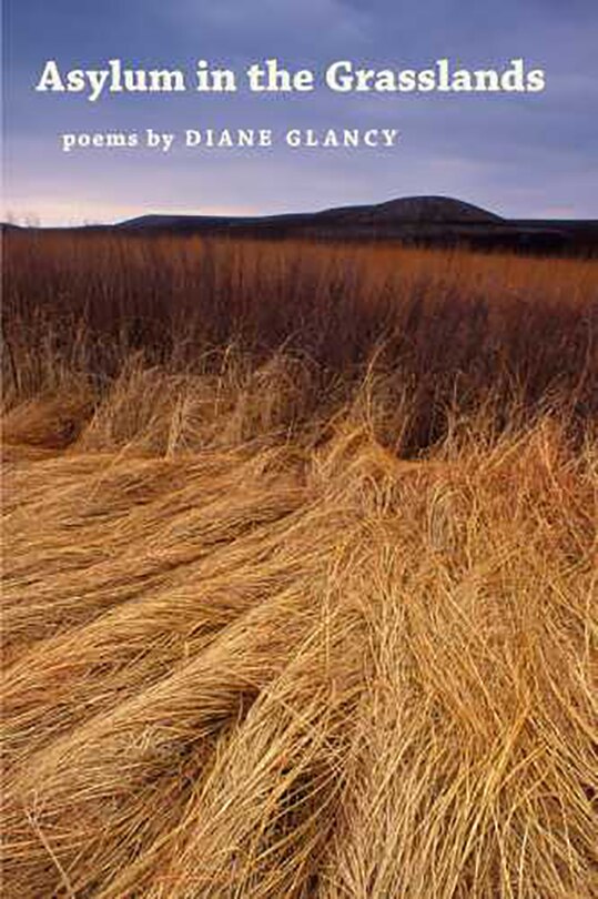 Front cover_Asylum In The Grasslands