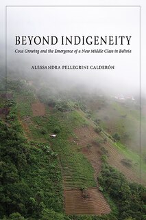Couverture_Beyond Indigeneity