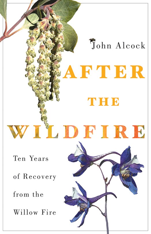 Front cover_After the Wildfire