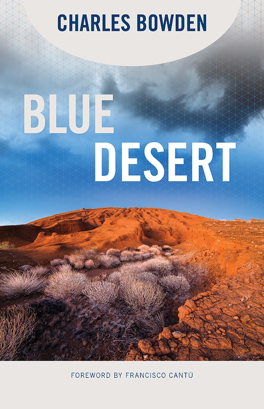 Couverture_Blue Desert