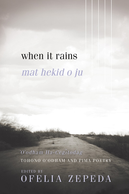 Front cover_When It Rains