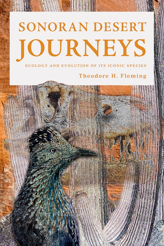 Sonoran Desert Journeys: Ecology and Evolution of Its Iconic Species