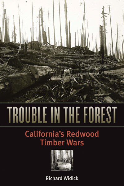 Couverture_Trouble in the Forest