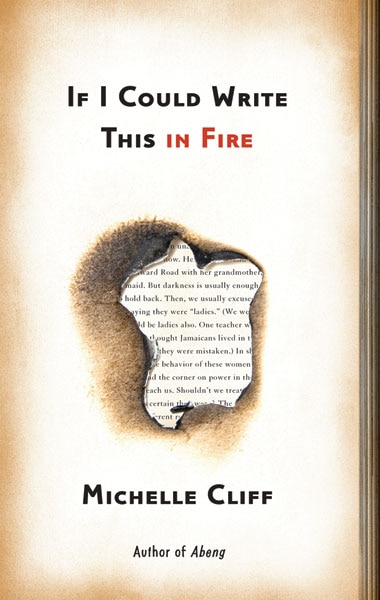 Couverture_If I Could Write This in Fire