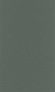 Front cover_Black and Indigenous