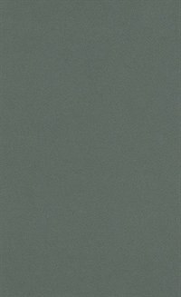 Front cover_Navajo Courts and Navajo Common Law