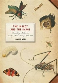 Front cover_The Insect and the Image