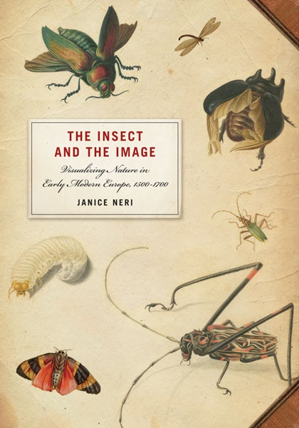 Front cover_The Insect and the Image