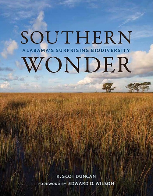 Couverture_Southern Wonder