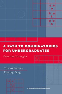 A Path to Combinatorics for Undergraduates: Counting Strategies