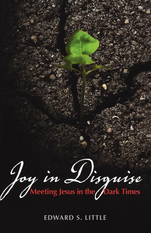 Couverture_Joy in Disguise