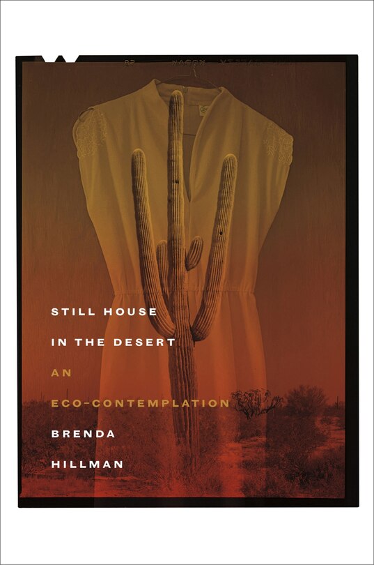 Couverture_Still House in the Desert