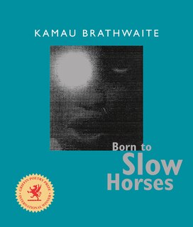 Front cover_Born to Slow Horses