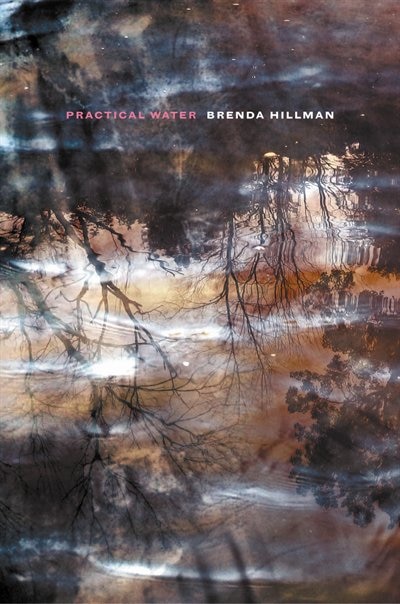 Front cover_Practical Water