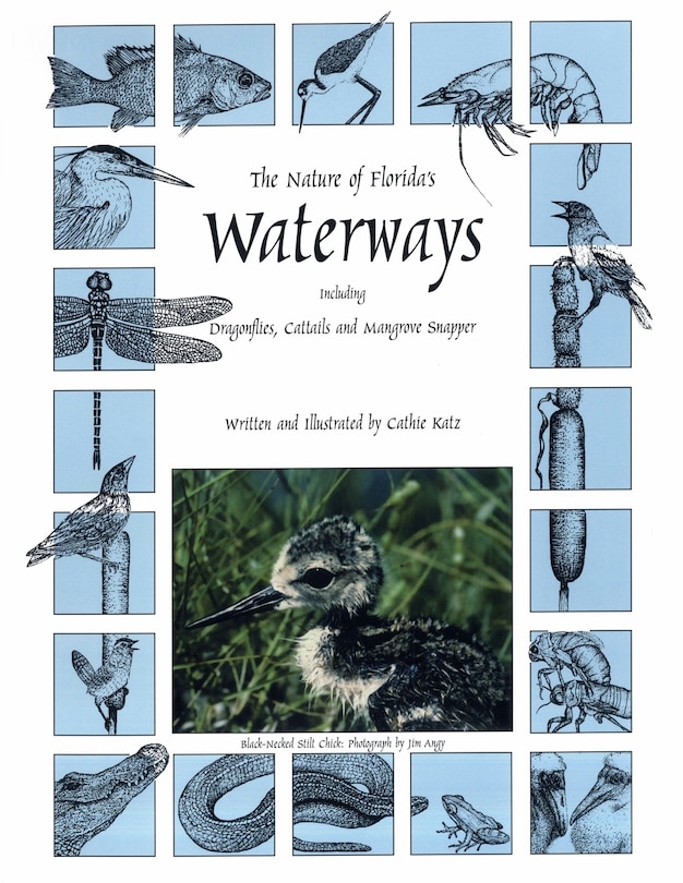 Front cover_Nature of Florida's Waterways