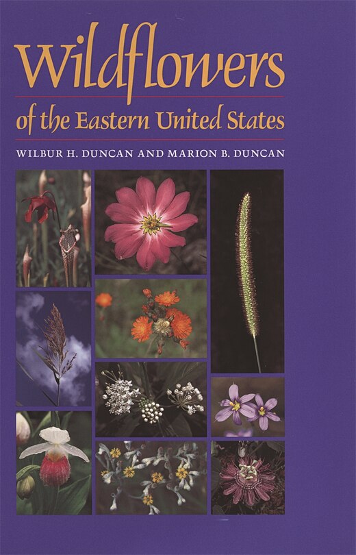 Front cover_Wildflowers Of The Eastern United States