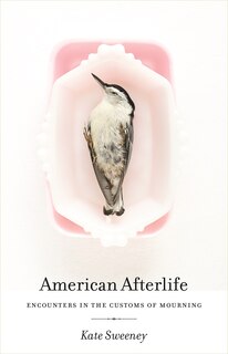 Couverture_American Afterlife
