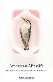 American Afterlife: Encounters in the Customs of Mourning