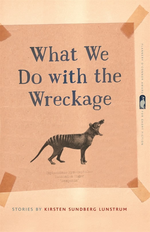 Front cover_What We Do with the Wreckage