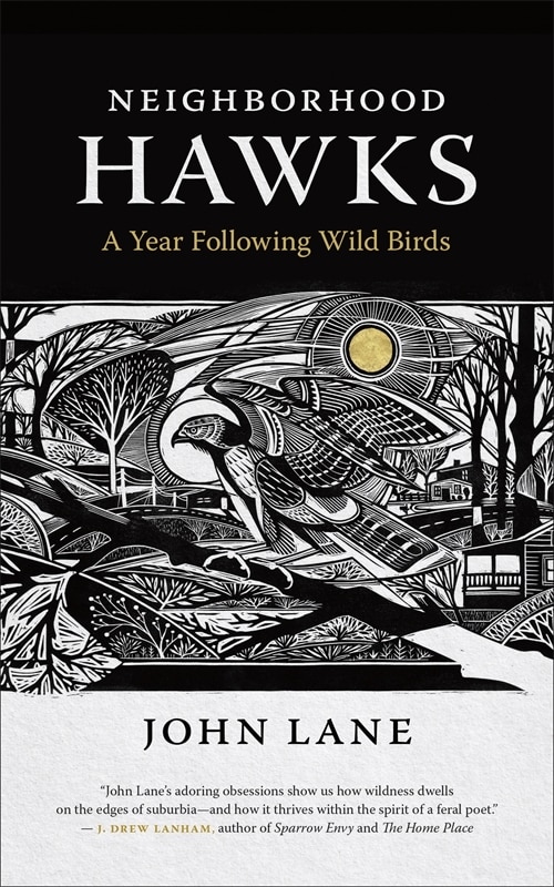 Couverture_Neighborhood Hawks