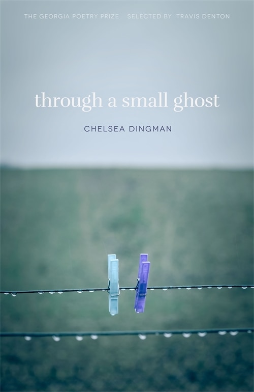 Front cover_Through a Small Ghost
