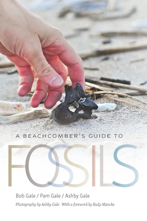 A Beachcomber's Guide to Fossils