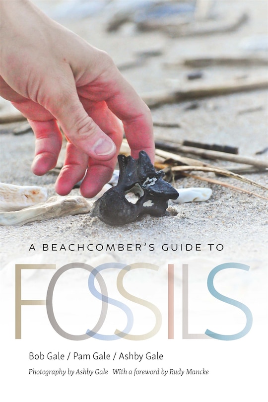 Front cover_A Beachcomber's Guide to Fossils