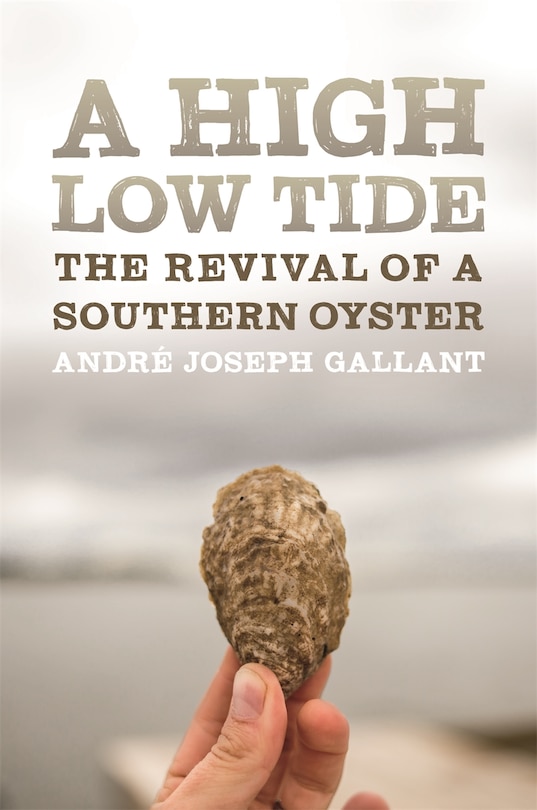 Front cover_A High Low Tide
