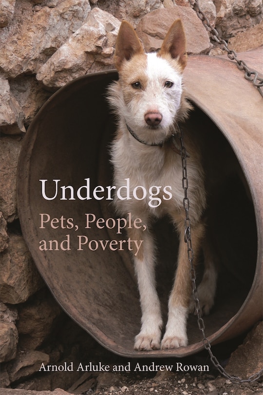 Front cover_Underdogs