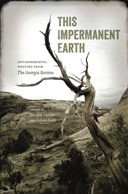 Front cover_This Impermanent Earth