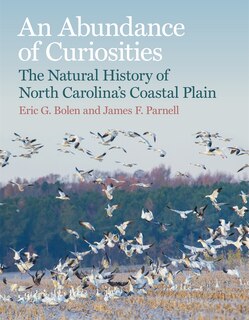 Front cover_An Abundance of Curiosities