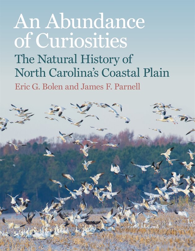 Front cover_An Abundance of Curiosities