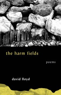 Front cover_The Harm Fields