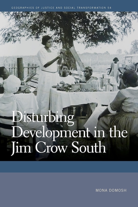 Front cover_Disturbing Development in the Jim Crow South