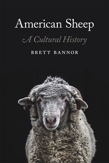 Front cover_American Sheep