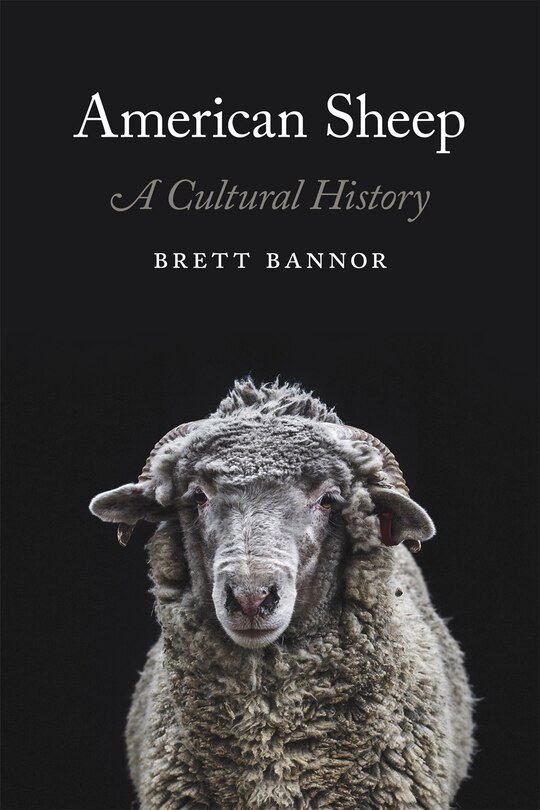 Front cover_American Sheep